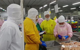 切磋技藝 提升專業水平—石羊涇河食品公司成功舉辦技能比武活動